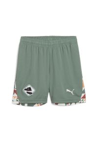 Puma - Młodzieżowe szorty Palermo F.C. 24/25 PUMA Eucalyptus Green. Kolor: biały, wielokolorowy, zielony