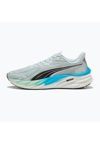 Buty do biegania męskie Puma Velocity Nitro 4. Kolor: szary, niebieski, wielokolorowy. Szerokość cholewki: normalna. Sport: bieganie