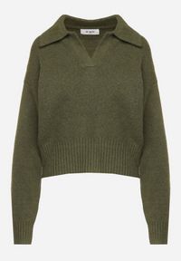 Born2be - Zielony Sweter o Krótkim Kroju z Kołnierzykiem i Dekoltem w Serek Valentarisa. Okazja: na co dzień. Typ kołnierza: dekolt w serek. Kolor: zielony. Materiał: bawełna, jeans. Długość: krótkie. Styl: klasyczny, elegancki, casual #3