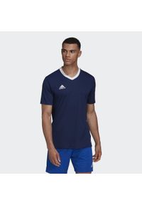 Adidas - Koszulka piłkarska męska adidas Entrada 22 Jersey. Kolor: niebieski. Materiał: jersey, poliester. Sport: piłka nożna
