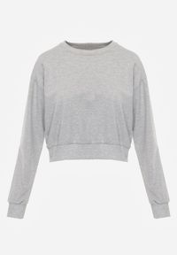 Renee - Jasnoszara Bluza z Bawełną ze Ściągaczami przy Rękawach i w Pasie Alberia. Kolor: szary. Materiał: bawełna #6