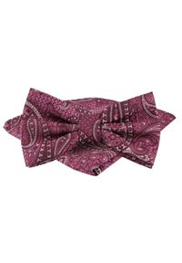 Mucha Męska w Zestawie z Poszetką - Alties - Fuksja w Paisley. Kolor: różowy. Wzór: paisley. Styl: elegancki, sportowy #1