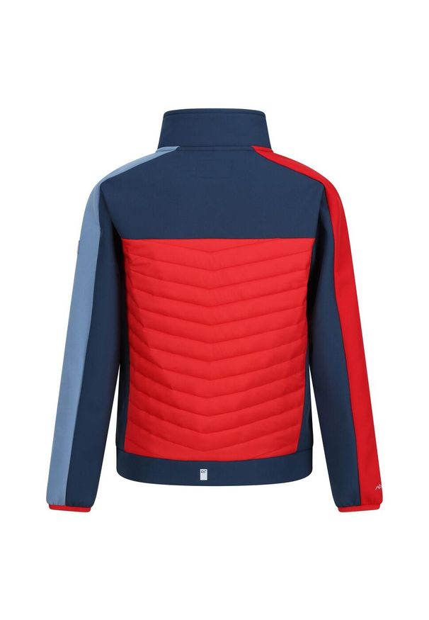 Regatta - Kurtka Dziecięca Brynden Padded Full Zip Soft Shell Jacket. Kolor: czerwony, niebieski, wielokolorowy