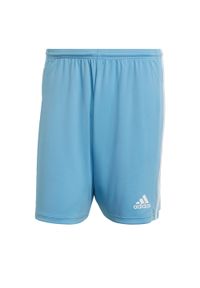 Adidas - Spodenki piłkarskie męskie adidas Squadra 21 Short. Kolor: niebieski. Sport: piłka nożna