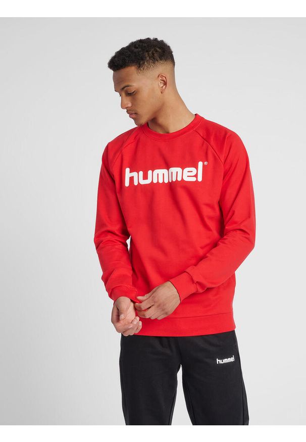 Bluza do piłki ręcznej męska Hummel Cotton Logo. Kolor: czerwony, wielokolorowy, różowy. Materiał: bawełna