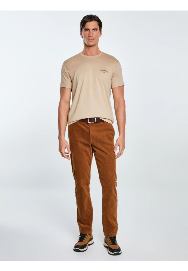 Big-Star - Koszulka męska bawełniana beżowa Vincer 805. Okazja: na co dzień. Kolor: beżowy. Materiał: bawełna. Długość rękawa: krótki rękaw. Długość: krótkie. Wzór: haft. Styl: casual, klasyczny