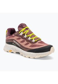 Buty turystyczne damskie Merrell Moab Speed GTX. Kolor: brązowy. Styl: sportowy