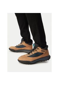 Sneakersy Timberland. Kolor: brązowy #1