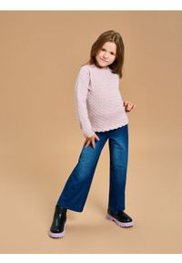 Sinsay - Sweter - fioletowy. Kolor: fioletowy #1