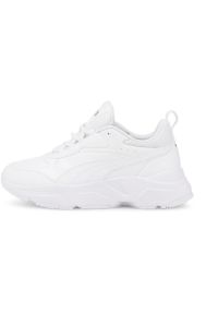 Buty Puma Cassia SL, Kobiety. Zapięcie: sznurówki. Kolor: biały. Materiał: materiał, tkanina, syntetyk, guma. Szerokość cholewki: normalna. Sport: turystyka piesza