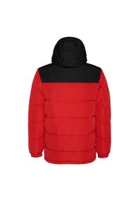 ROLY - Kurtka Ocieplana Tallin Dla Dorosłych Unisex. Kolor: zielony, czerwony, wielokolorowy, brązowy