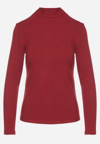 Born2be - Bordowa Bluzka Golf Typu Longsleeve Altera. Okazja: do pracy, na co dzień. Typ kołnierza: golf. Kolor: czerwony. Materiał: jeans. Długość rękawa: długi rękaw. Styl: elegancki, casual #4
