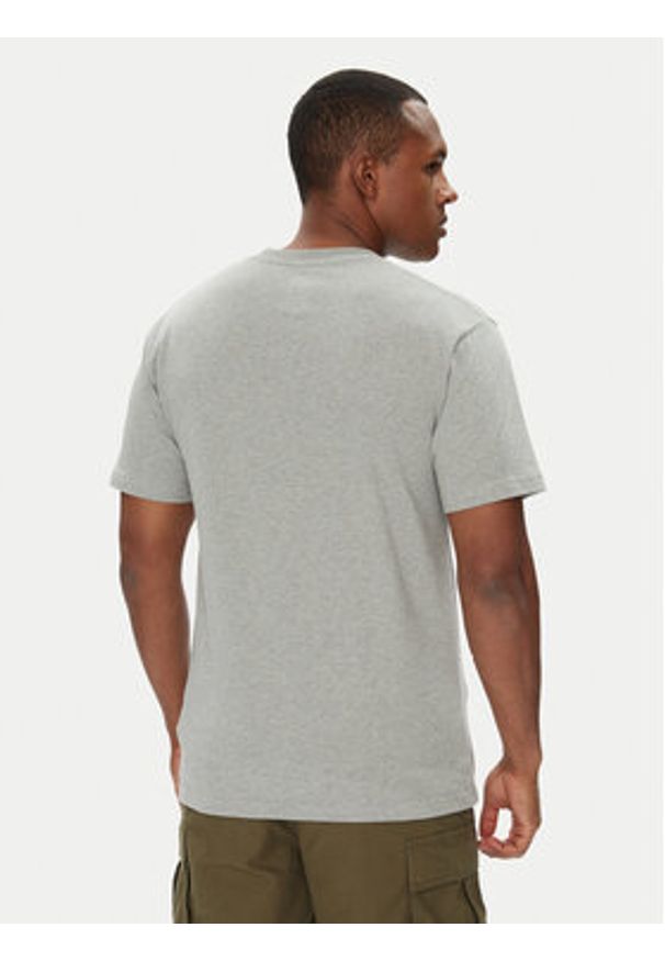 DC Shoes T-Shirt ADYZT05373 Szary Regular Fit. Kolor: szary. Materiał: bawełna