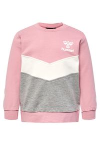 Bluza dziecięca Hummel hmlSkye. Kolor: różowy. Sport: joga i pilates #1