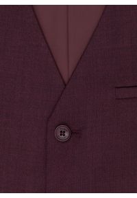 Pako Lorente - PAKO LORENTE – Gładka jednorzędowa kamizelka męska. Materiał: poliester, elastan, wiskoza. Wzór: gładki #5