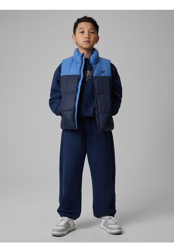 4f - 4F Bezrękawnik z wypełnieniem syntetycznym chłopięcy - granatowy 164 (13-14 lat). Okazja: na co dzień. Typ kołnierza: kołnierzyk stójkowy. Kolor: niebieski. Materiał: syntetyk. Długość rękawa: bez rękawów. Sezon: lato. Styl: casual, sportowy