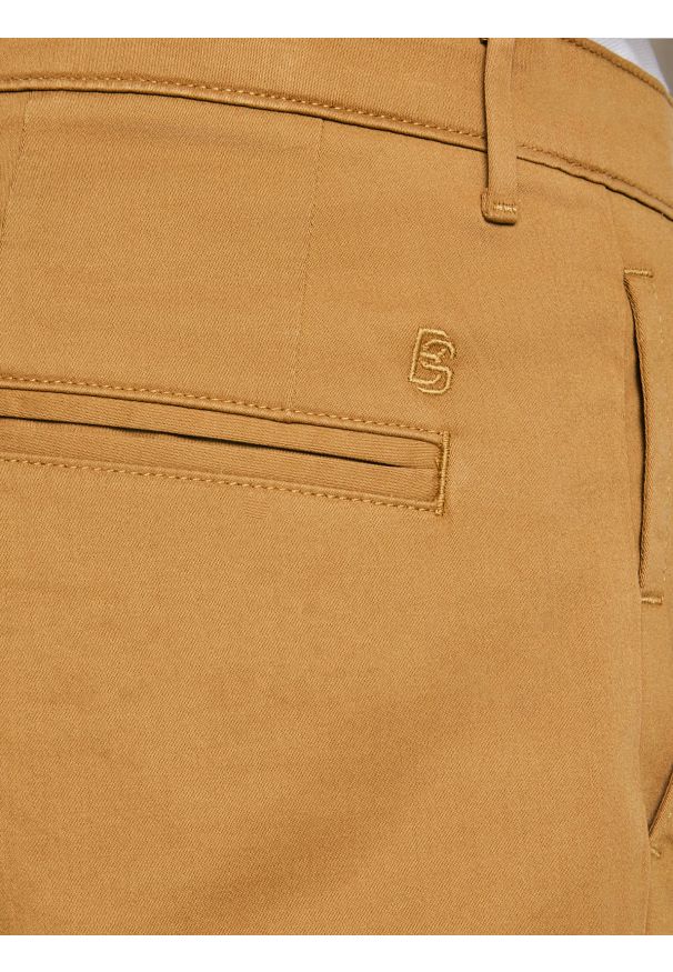 Big-Star - Spodnie męskie chinosy brązowe Trevor 802. Okazja: na co dzień. Kolor: brązowy. Materiał: tkanina. Wzór: haft. Styl: klasyczny, casual, elegancki