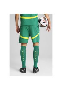 Puma - Męskie szorty Senegal 2025 PUMA Sport Green Electric Lime. Kolor: zielony. Wzór: aplikacja #1