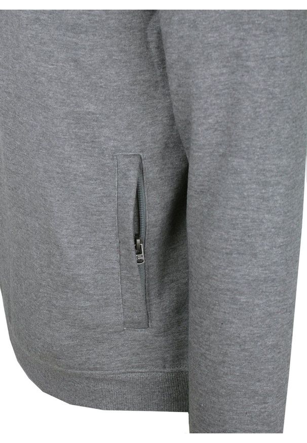 Wygodna Bluza - Pako Jeans - Rozpinany Kołnierz - Popielata. Kolor: szary. Materiał: bawełna, wiskoza