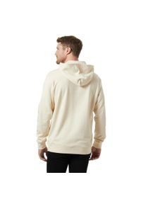 Bluza sportowa męska Helly Hansen Core Graphic. Typ kołnierza: kaptur. Kolor: biały