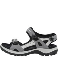 ecco - Buty do chodzenia damskie Ecco Offroad Titanium. Zapięcie: rzepy. Kolor: szary. Materiał: guma, tkanina. Sport: turystyka piesza