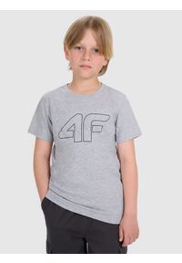 4f - 4F T-shirt regular z nadrukiem chłopięcy - szary 152 (11-12 lat). Okazja: na co dzień. Kolor: szary. Materiał: bawełna, materiał, jersey. Długość rękawa: krótki rękaw. Długość: krótkie. Wzór: nadruk. Sezon: lato. Styl: klasyczny, młodzieżowy, sportowy, casual