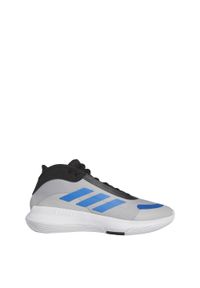 Buty do koszykówki dla dorosłych Adidas Bounce Legends. Kolor: czarny, szary, wielokolorowy, niebieski. Sport: koszykówka