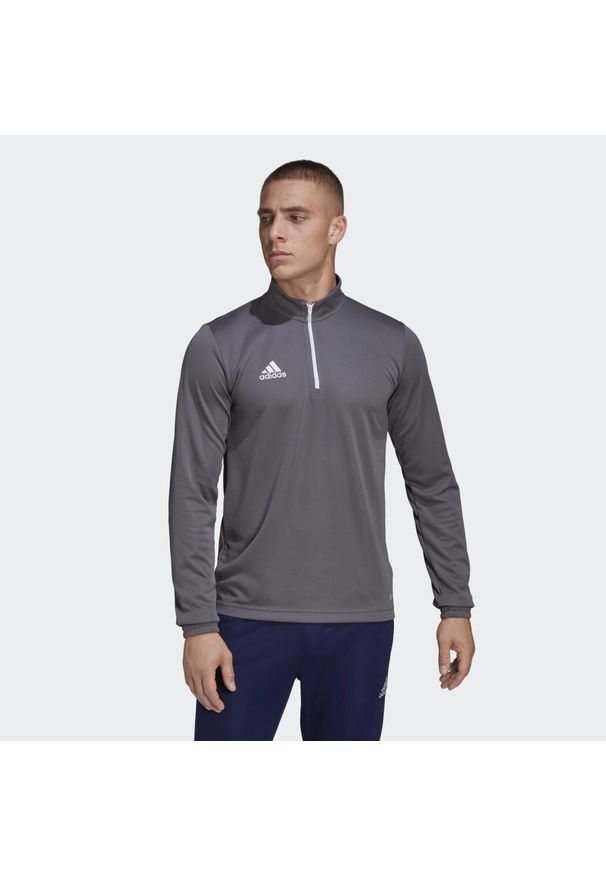 Bluza piłkarska męska Adidas Entrada 22 Training Top. Kolor: szary. Materiał: poliester. Sport: piłka nożna