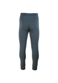 Spodnie treningowe męskie Puma ESS Logo Pants TR. Kolor: wielokolorowy, czarny, szary