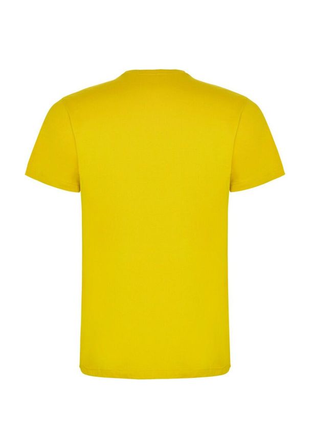 ROLY - Męska Koszulka Dogo Premium. Kolor: żółty. Sport: turystyka piesza