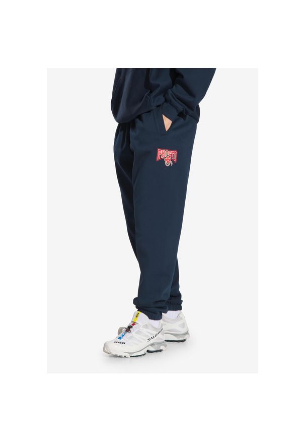 Spodnie dresowe męskie Prosto Chicago. Kolor: niebieski. Materiał: dresówka. Długość: długie