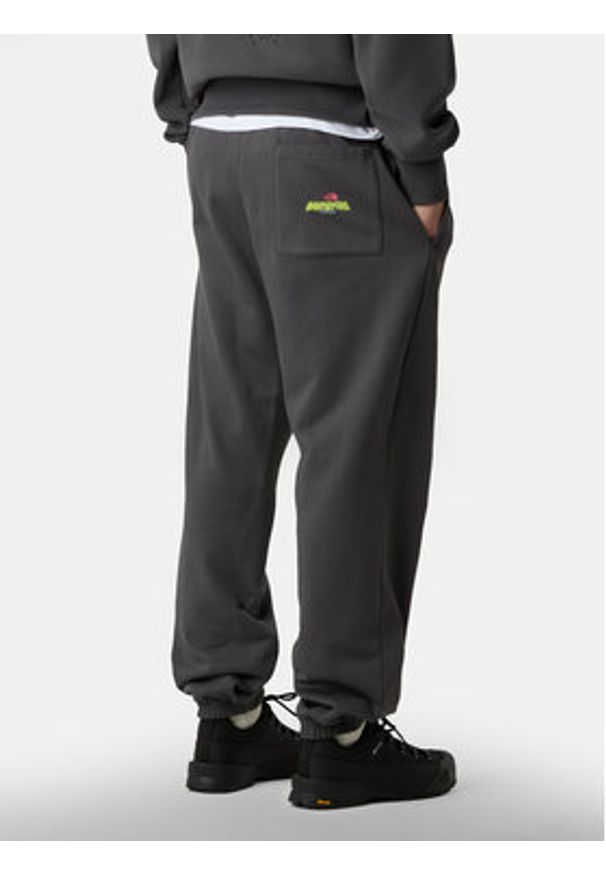 The North Face Spodnie dresowe Expedition Celebration NF0A8E3E Szary Relaxed Fit. Kolor: szary. Materiał: bawełna