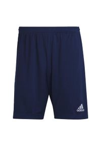 Adidas - Entrada 22 Training Shorts. Kolor: niebieski. Materiał: materiał. Sport: piłka nożna