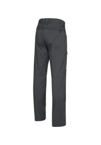 Haglöfs - Spodnie outdoorowe męskie Lite Standard Pant. Kolor: szary