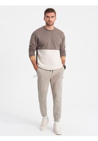Ombre Clothing - Męskie spodnie dresowe joggery na gumce z przeszyciami – popielate V1 - Rozmiar: L. Kolor: szary. Materiał: dresówka. Wzór: aplikacja