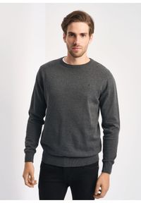Ochnik - Grafitowy sweter męski basic. Okazja: na co dzień. Kolor: szary. Materiał: bawełna. Długość: długie. Styl: casual #1