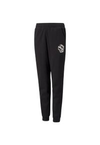 Spodnie dla dzieci Puma Alpha Sweatpants FL. Kolor: czarny. Sport: joga i pilates