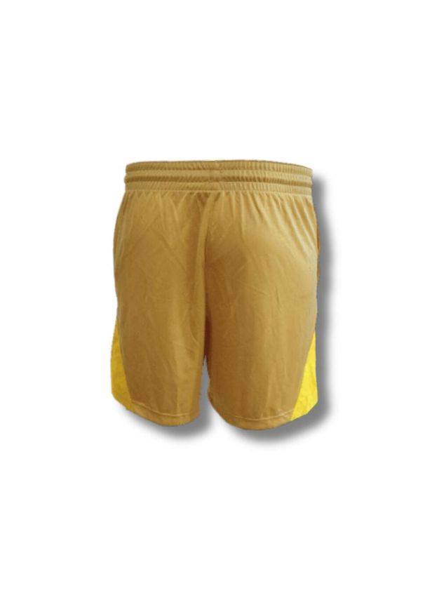 Spodenki sportowe damskie Nike Isofly Shorts Wmns. Kolor: zielony, wielokolorowy, brązowy