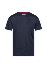 Regatta - T-Shirt Męski Fingal Edition. Kolor: wielokolorowy, niebieski, szary