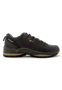 Buty trekkingowe męskie Grisport Dakar Trekking. Zapięcie: sznurówki. Kolor: szary. Materiał: syntetyk, materiał. Szerokość cholewki: normalna. Sport: turystyka piesza