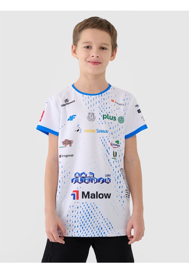 4f - 4F Koszulka meczowa replika domowa z sezonu 2024/2025 dziecięca 4F x Ślepsk Malow Suwałki - multikolor 134/140 (8-10 lat). Okazja: do domu. Kolor: wielokolorowy. Materiał: dzianina, włókno, materiał, syntetyk. Wzór: gładki, ze splotem. Sezon: lato. Styl: klasyczny, sportowy