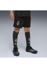 Puma - Młodzieżowe skarpety Borussia Mönchengladbach 25/26 PUMA Black Warm White. Kolor: czarny, biały, wielokolorowy. Materiał: tkanina. Sport: piłka nożna