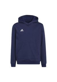 Adidas - Bluza piłkarska dla dzieci adidas Entrada 22 Hoody. Typ kołnierza: kaptur. Kolor: niebieski. Materiał: polar, materiał. Sport: piłka nożna