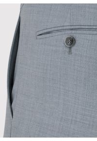 Pako Lorente - PAKO LORENTE – Gładkie szare spodnie garniturowe. Okazja: na spotkanie biznesowe. Kolor: szary. Materiał: wełna, poliester. Wzór: gładki. Styl: biznesowy #4