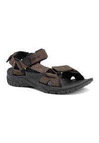 Sandały męskie Jack Wolfskin Lakewood Ride. Kolor: beżowy. Sezon: lato