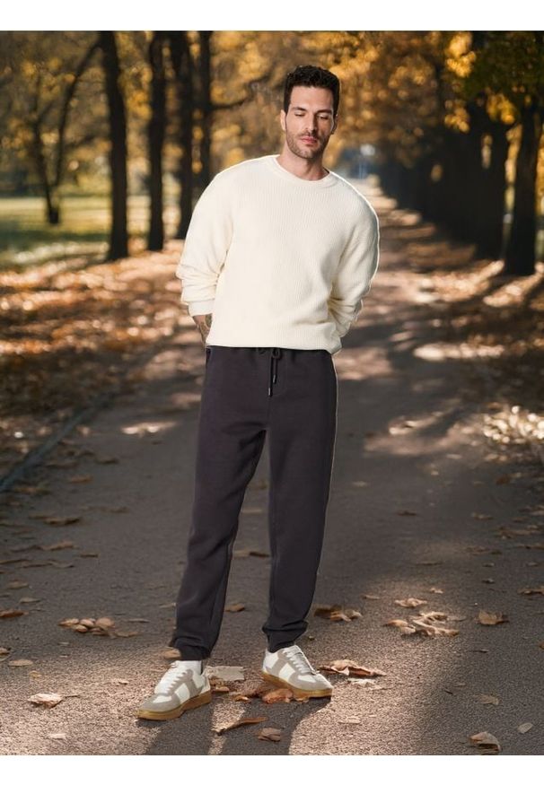 Sinsay - Spodnie - szary. Kolor: szary. Długość: długie