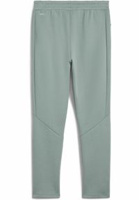 Puma - Męskie spodnie EVOSTRIPE PUMA Green Moon. Kolor: zielony