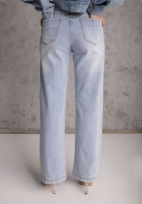 Renee - Jasnoniebieskie Jeansy Straight Leg High Waist z Bawełną Erivera. Stan: podwyższony. Kolor: niebieski. Wzór: gładki. Styl: klasyczny #4