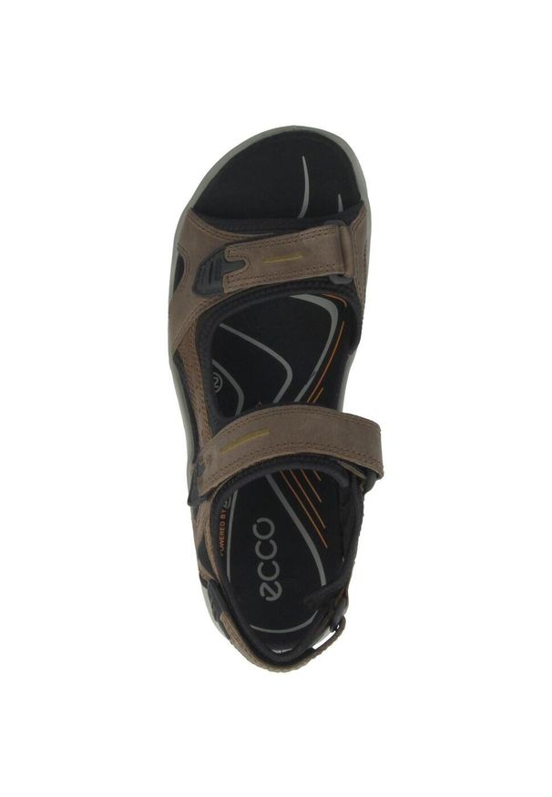 ecco - Buty do chodzenia męskie Ecco Offroad Marine. Zapięcie: rzepy. Kolor: brązowy. Materiał: guma, tkanina. Sport: turystyka piesza