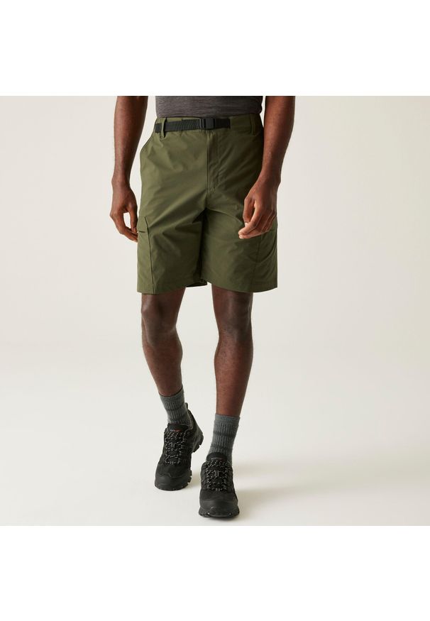 Regatta - Męskie spodenki Mallen. Kolor: zielony. Materiał: poliester, tkanina. Sport: turystyka piesza